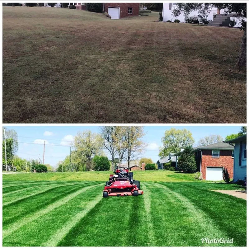 before after (1)