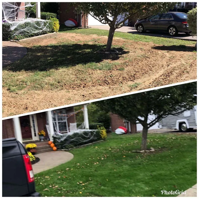 before after (10)