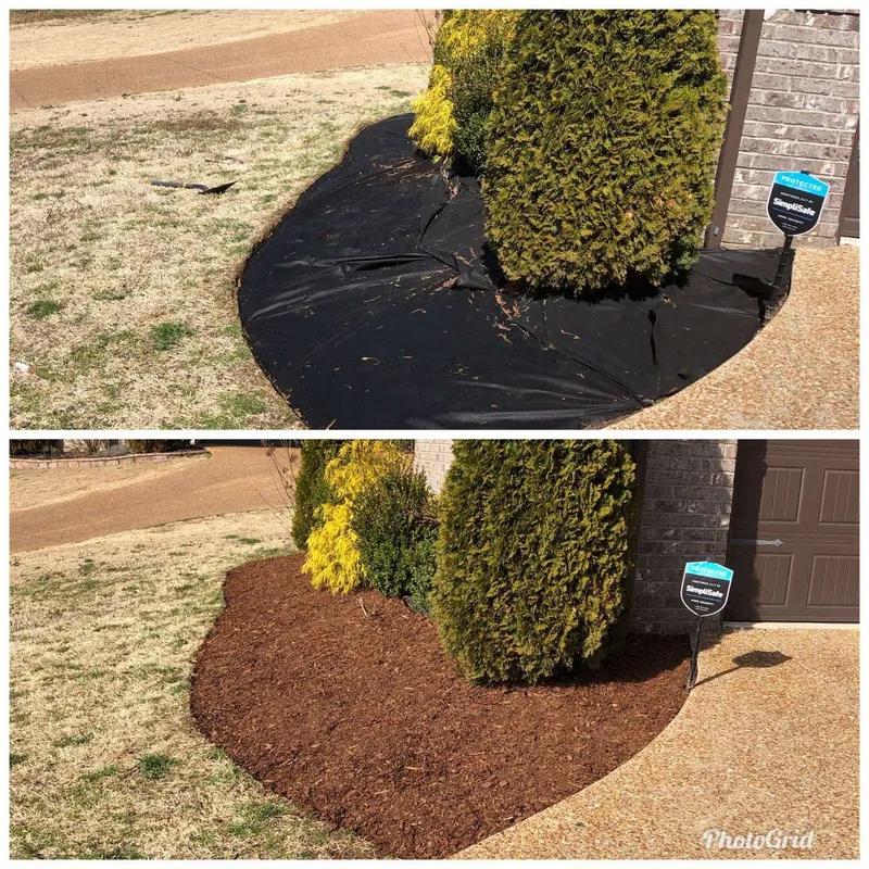 before after (2)