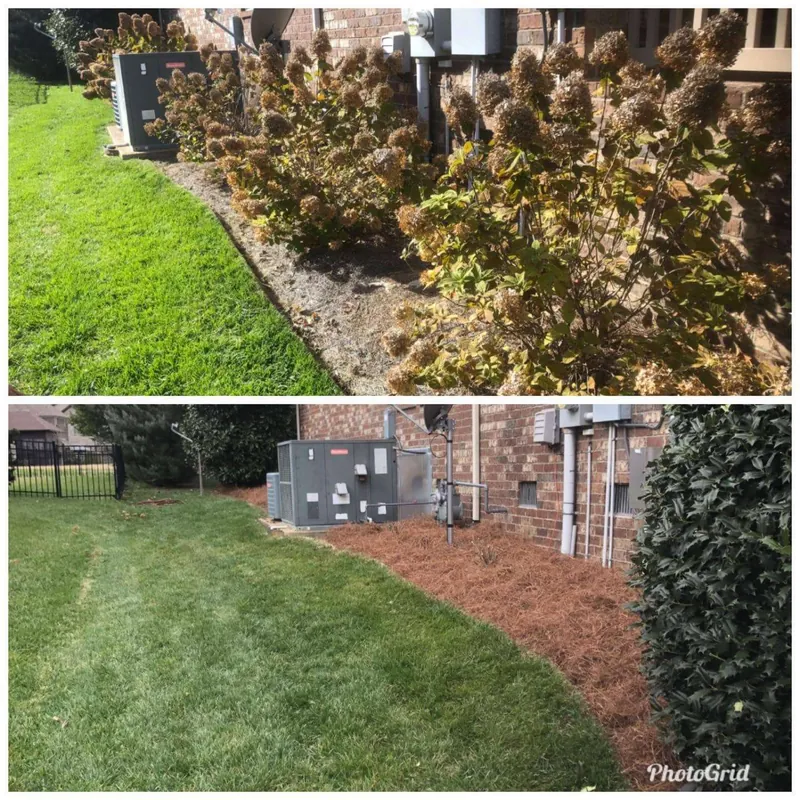 before after (3)