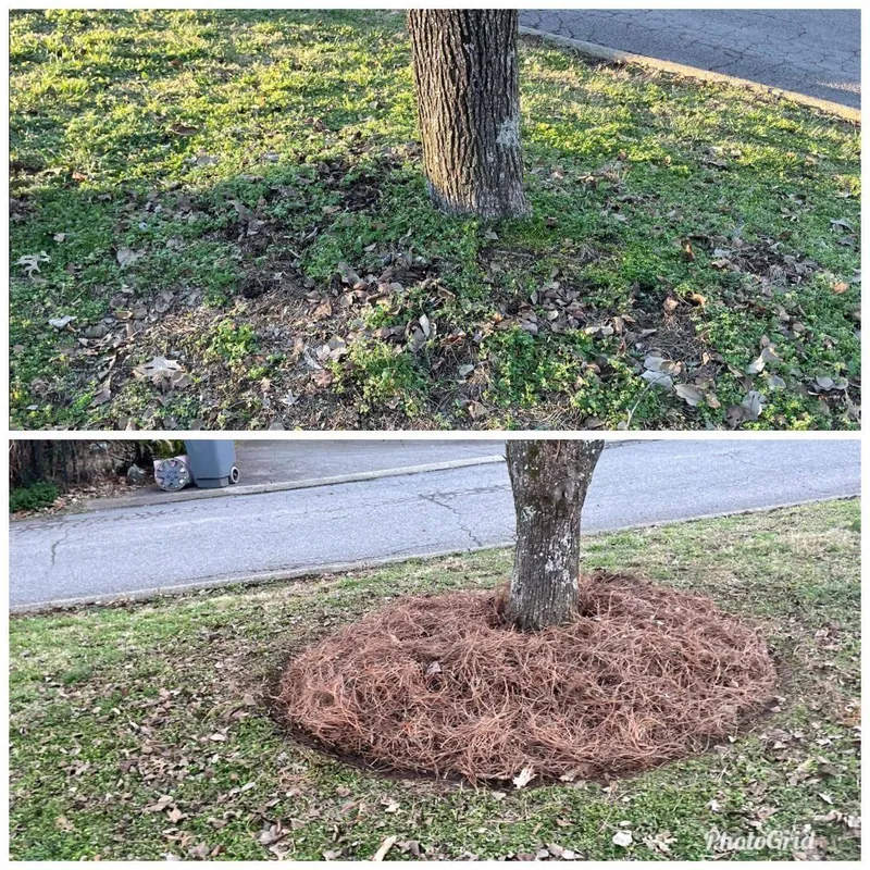 before after (4)