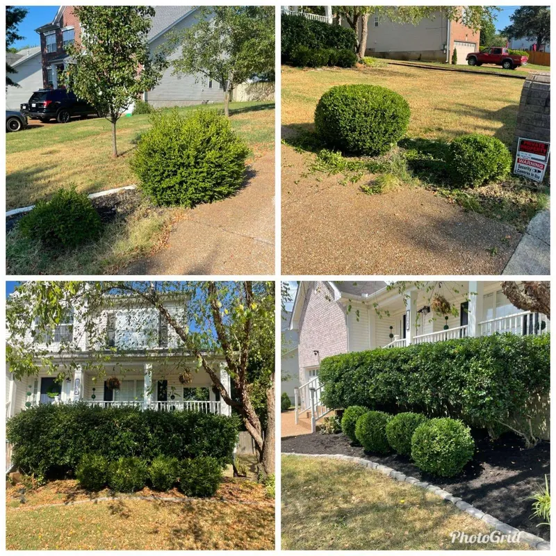 before after (7)