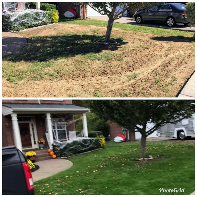 before after (9)